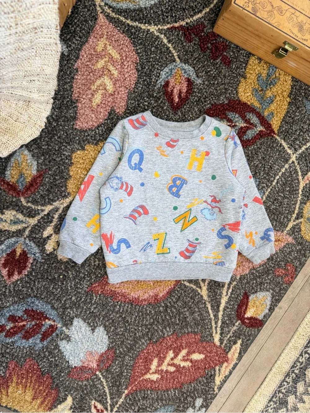 Dr. Seuss Alphabet Print Sweatshirt 2T Toddler Gray Multicolor Alphabet